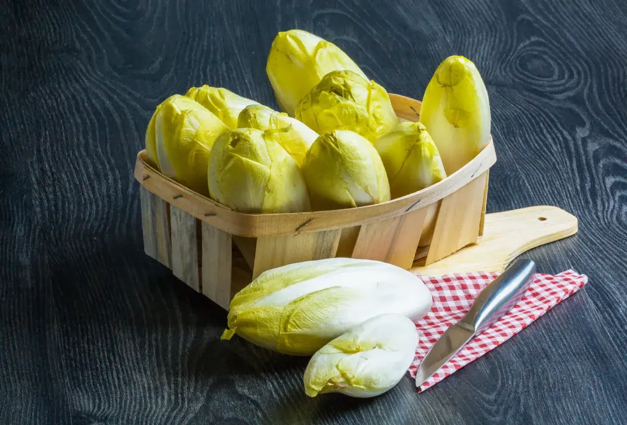Indivia belga: Scopri come cucinarla, cruda o cotta, senza amaro!