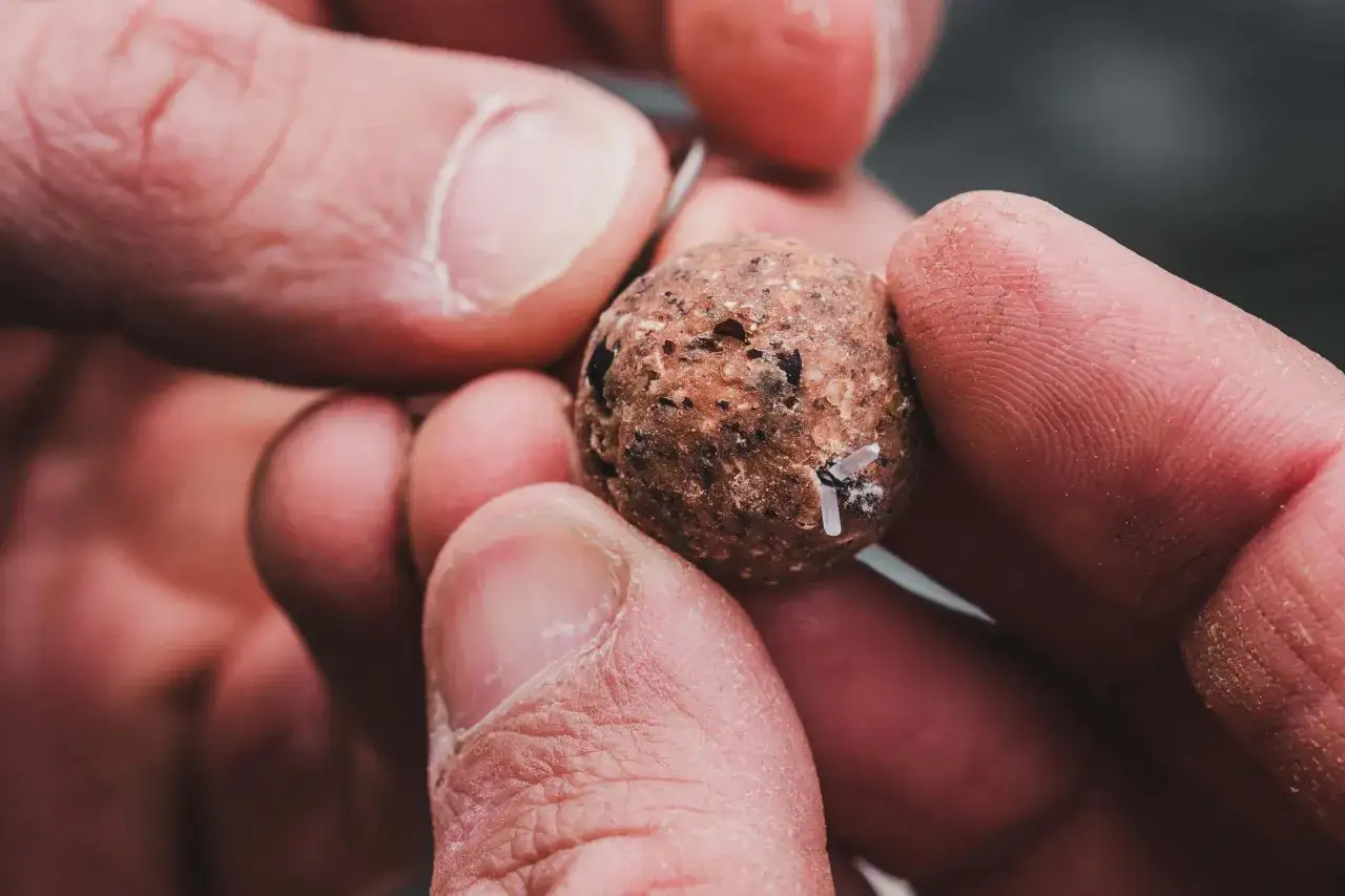 Dłonie trzymają okrągłą kulkę przynęty wędkarskiej z widocznymi fragmentami.