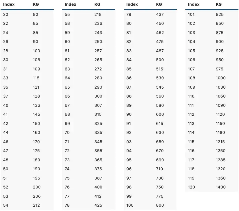 Der Tragfähigkeitsindex von Reifen: So wählen Sie sicher aus