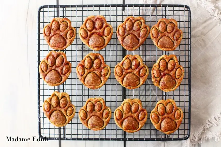 Domowe ciasteczka dla psa: Przepisy, składniki i sekrety trwałości