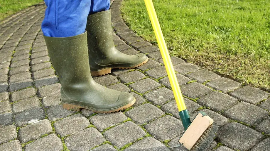 Skuteczne sposoby na to, czym wyczyścić kostkę brukową z mchu