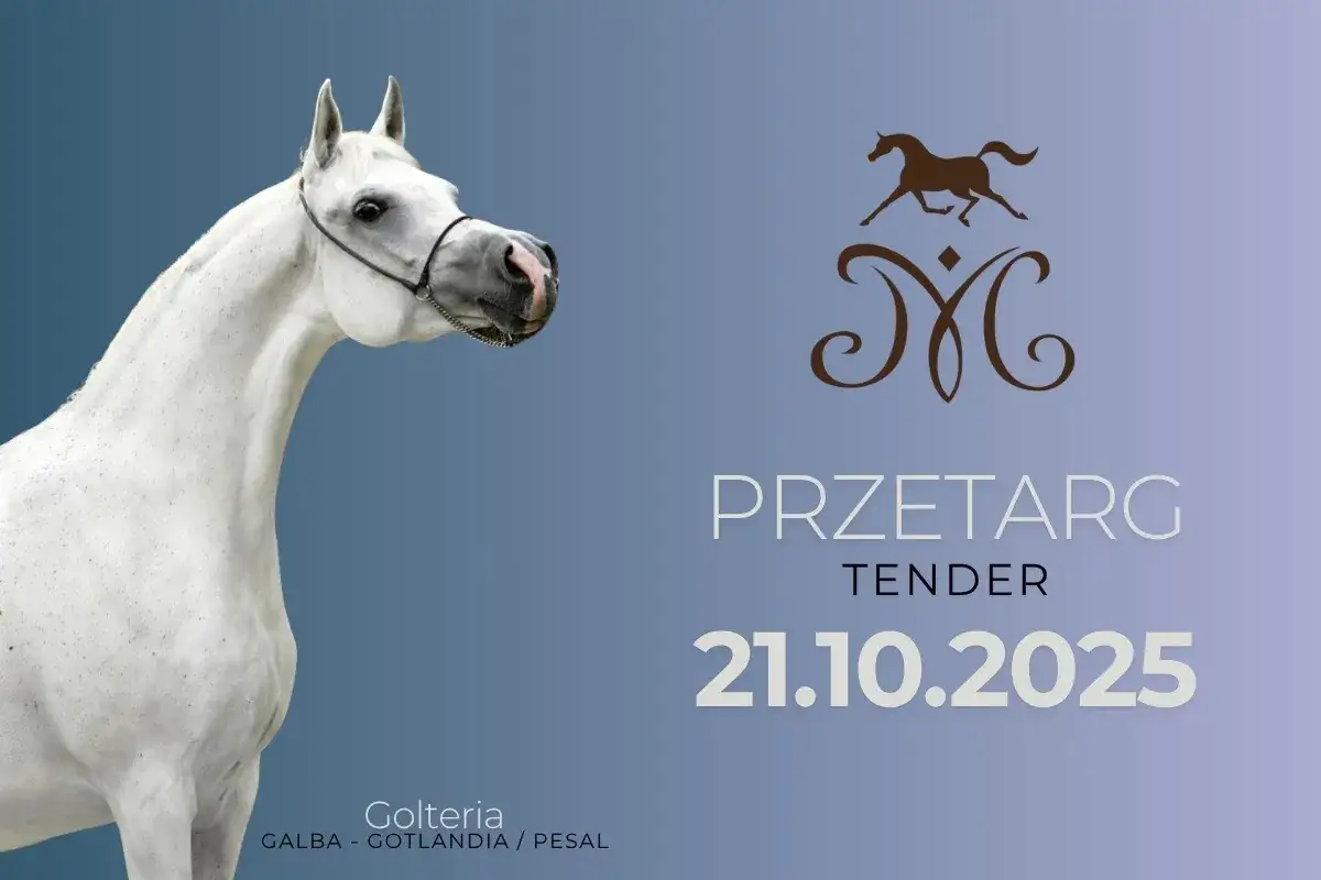 Stadnina Nowe Jankowice przetarg: Cała na sprzedaż? Sprawdź!