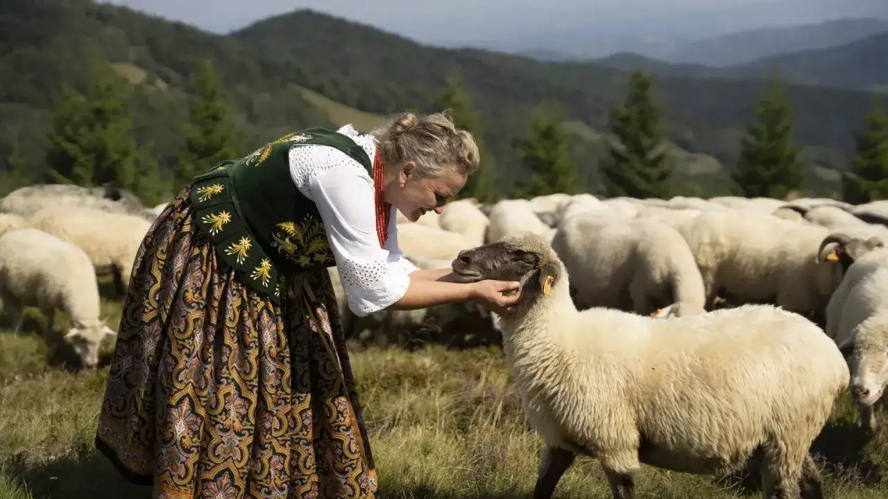 Bacówka u Jancoka: Poznaj sekrety Podhala z pierwszą kobietą-bacą