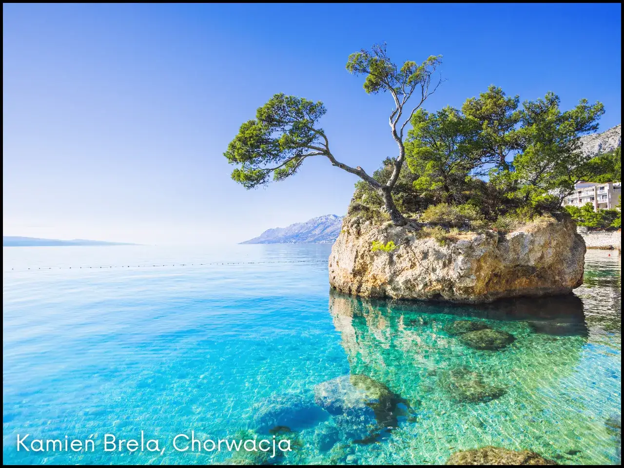 Kamień Brela, Chorwacja - symbol Dalmacji, gdzie leży, zachwyca turkusową wodą i malowniczą skałą z drzewem.