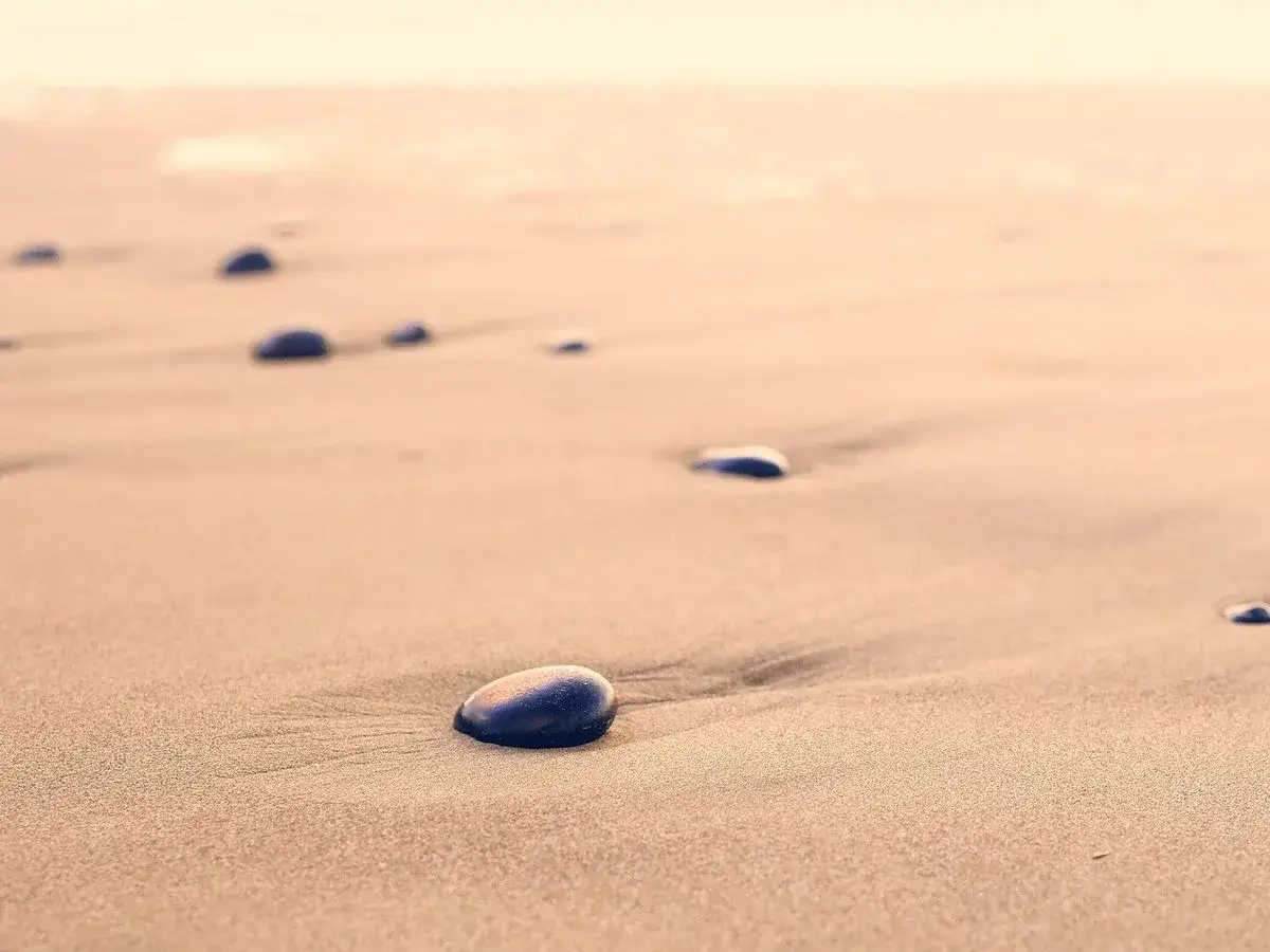 Spacer dzika plaża. Kamienie na piasku, szum fal. Kto śpiewa? Może wiatr?