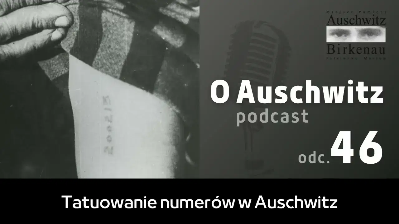 Jak tatuowano w Auschwitz: brutalna historia tatuaży więźniów