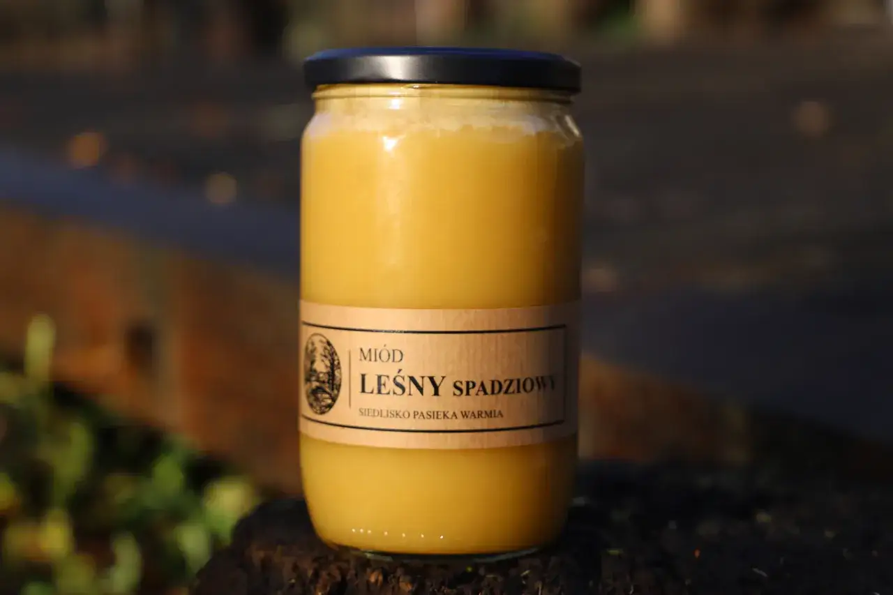 Miód leśny z czego powstaje? Odkryj tajemnice jego składników