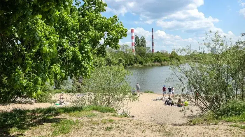 Rezerwat przyrody Jeziorko Czerniakowskie – odkryj jego unikalne piękno