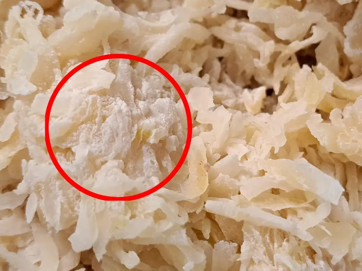 Pleśń na kapuście kiszonej co robić? Jak uniknąć problemów zdrowotnych