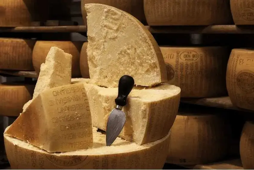 Czy parmezan można zastąpić grana padano? Odkryj smaki i różnice