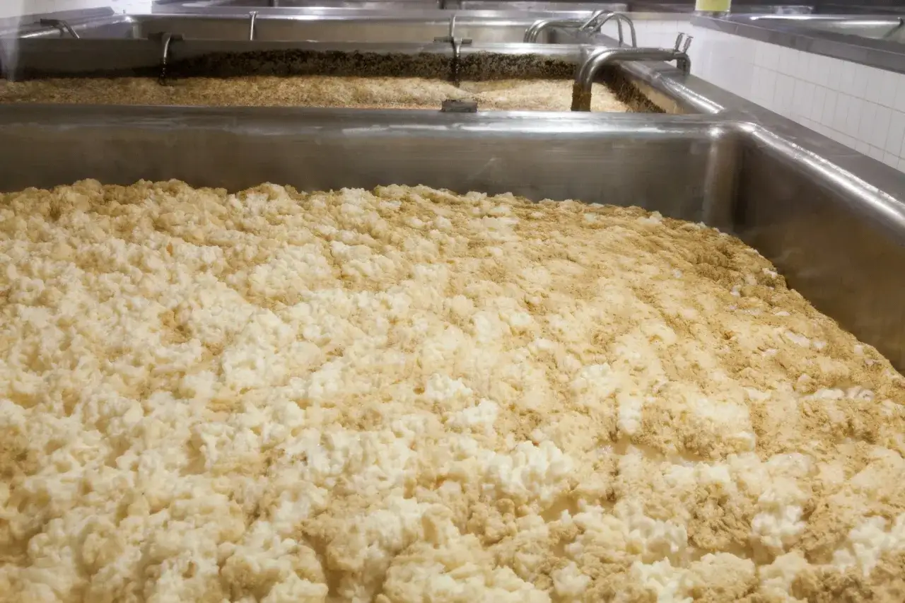 Piana w kadziach, która przypomina, kiedy wynaleziono alkohol. Proces fermentacji trwa.