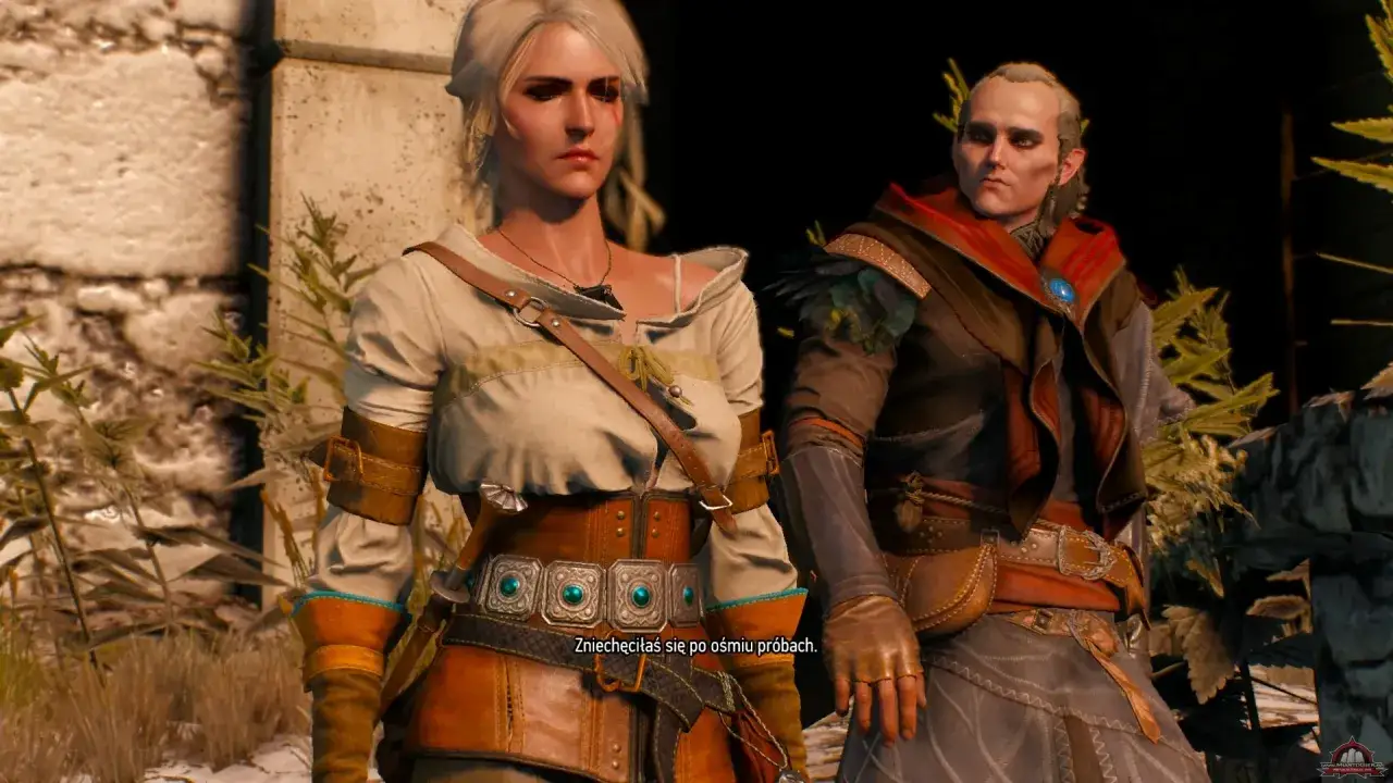 Co po ukończeniu gry Wiedźmin 3? Odkryj nieznane zadania i przygody