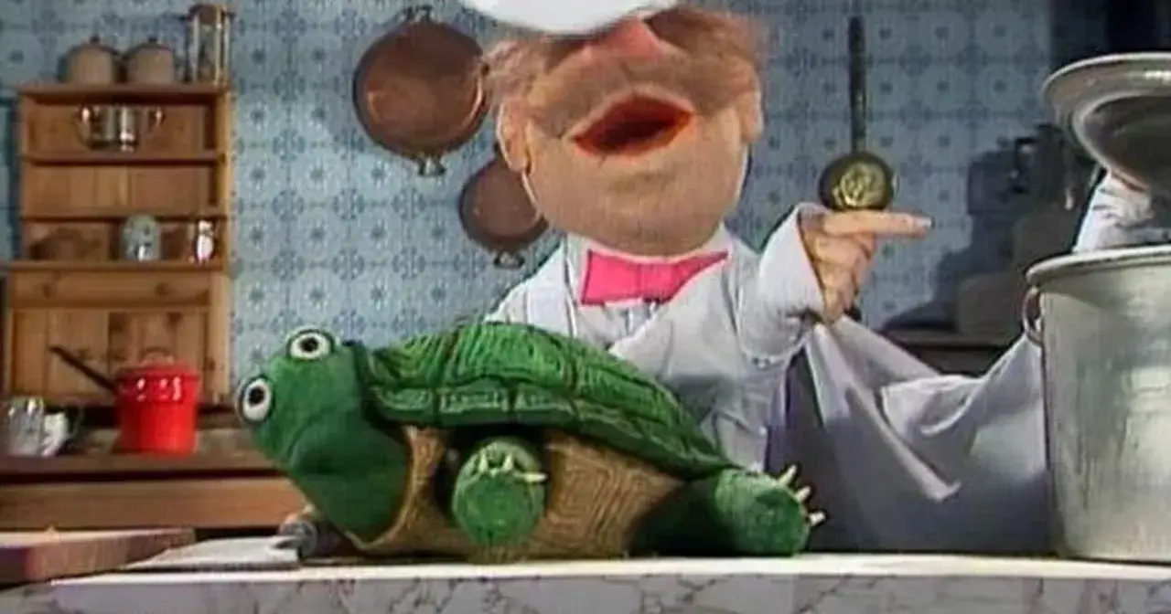 Żółw śmierdzi? Poznaj prawdę i pozbądź się brzydkiego zapachu!