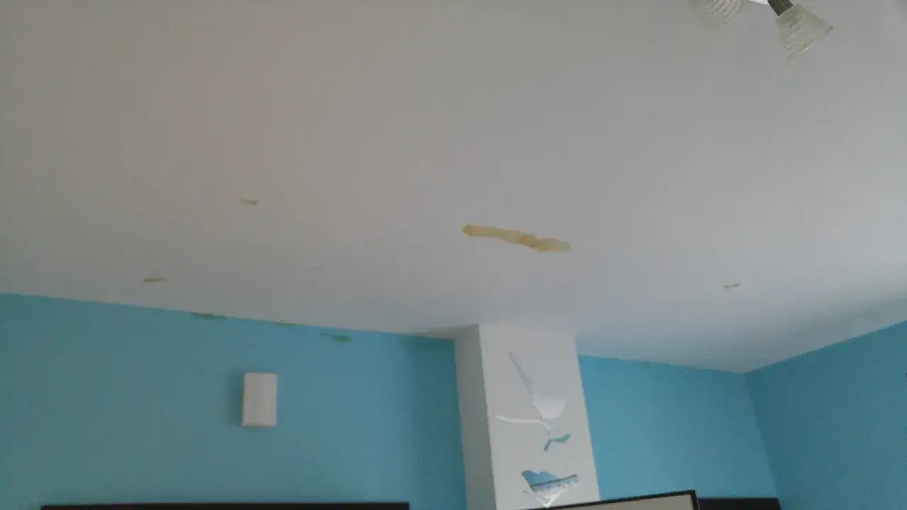 Plamy na suficie po tym, jak sąsiad zalał mi mieszkanie. Nie mam ubezpieczenia, więc naprawa będzie kosztowna.
