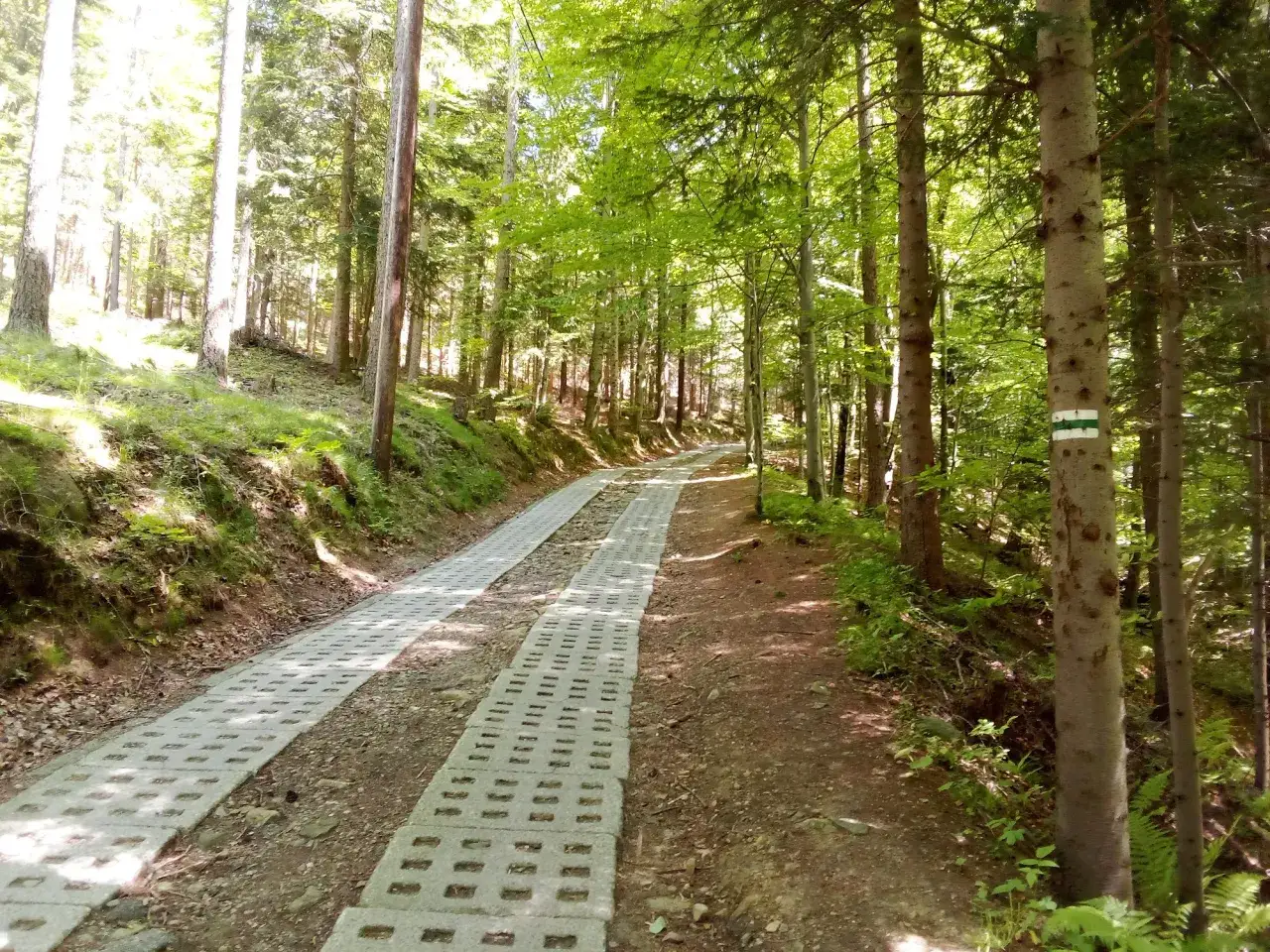 Skrzyczne: zielony czy niebieski szlak ze Szczyrku? Który wybrać?