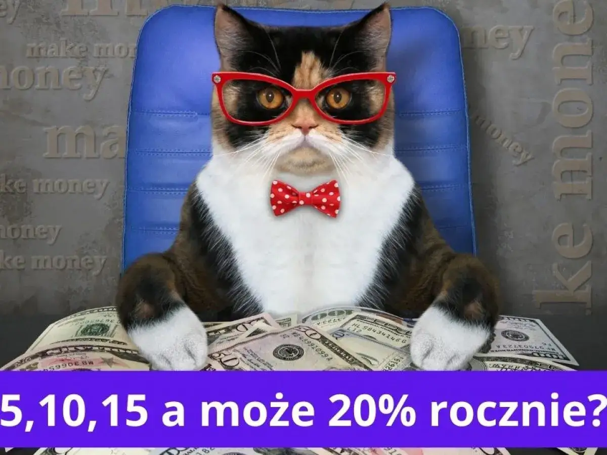 Kot w okularach i muszce siedzi za stosem dolarów. Czy można zarobić na funduszach inwestycyjnych 5, 10, 15, a może 20% rocznie?