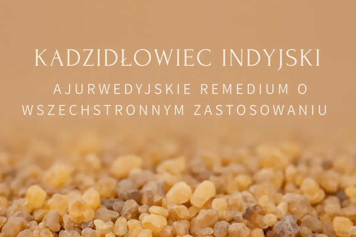 Kadzidłowiec: skutki uboczne? Zanim zażyjesz, poznaj ryzyko!