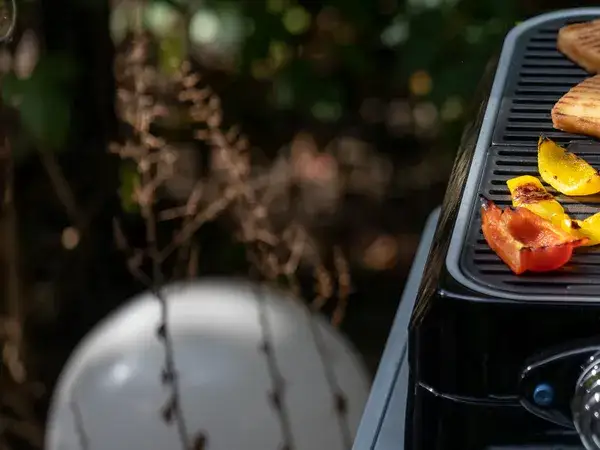 Grille ogrodowe Leroy Merlin: Jak wybrać idealny? Poradnik eksperta