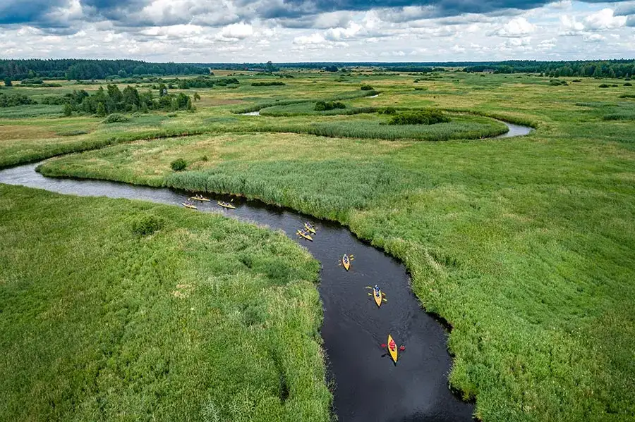 Spływy kajakowe Narewka – odkryj malownicze trasy w Puszczy Białowieskiej