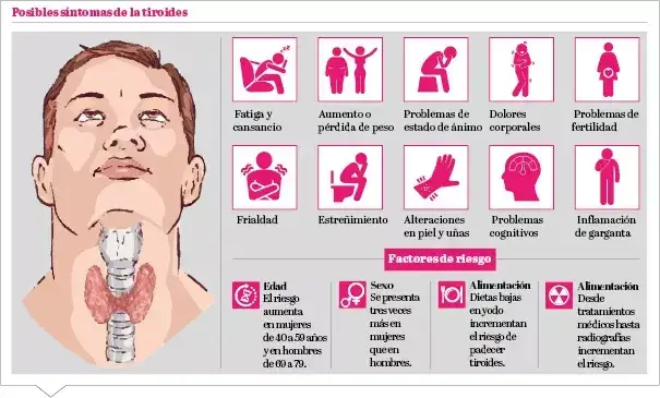 Síntomas de tiroides en mujeres: ¿Reconoces las señales clave?