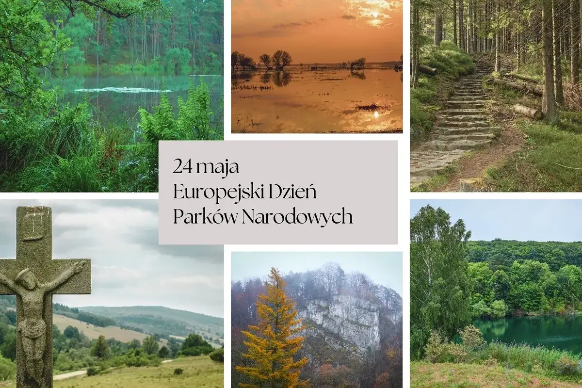 Pierwszy na świecie park narodowy: historia i niezwykłe atrakcje