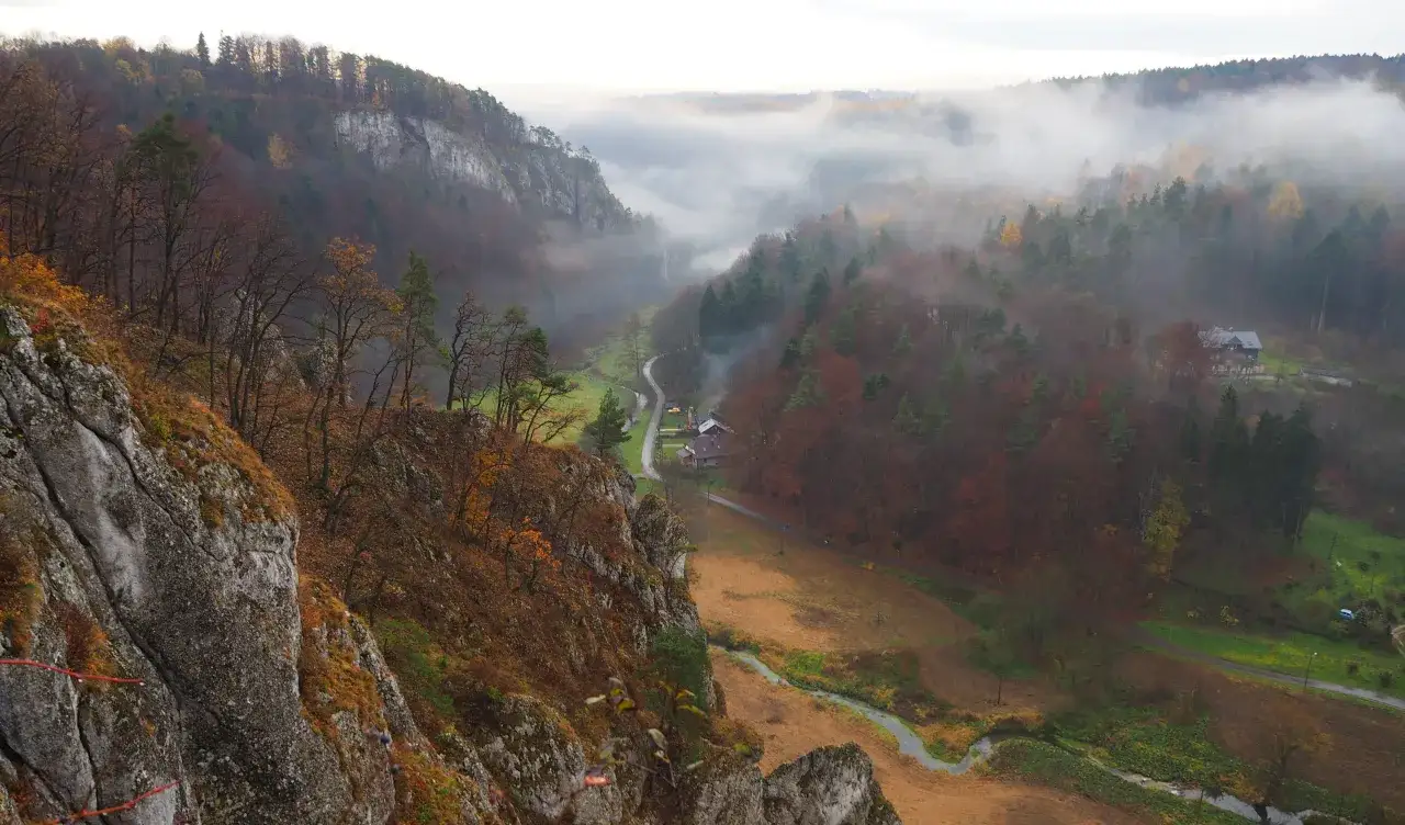 Dolina Krakowska: 5 Powodów by Ją Pokochać i Często Odwiedzać