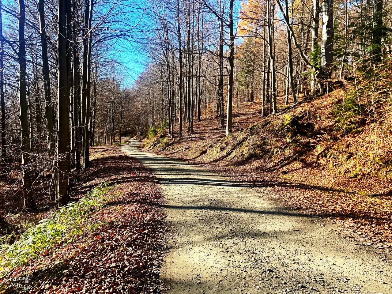Bacówka na Muńcole: Przewodnik po Beskidzkim Azylu z Widokiem na Tatry