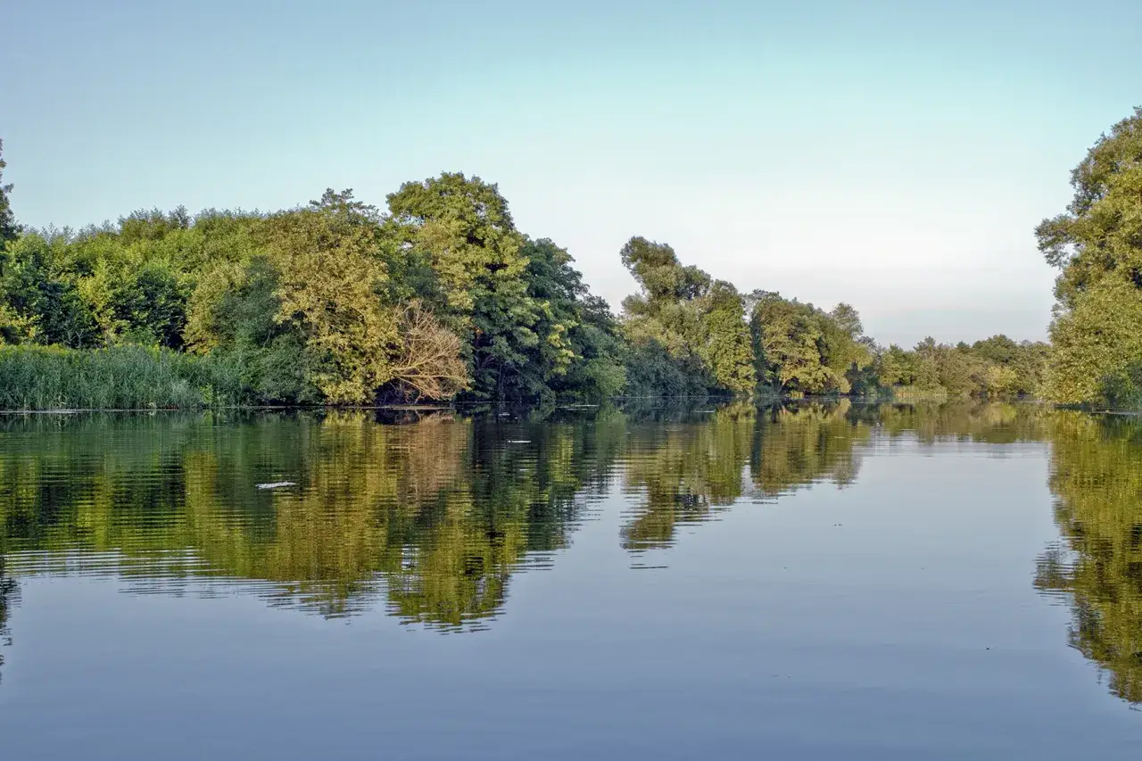 Jezioro Kiełpińskie - malowniczy rezerwat przyrody na obrzeżach Warszawy