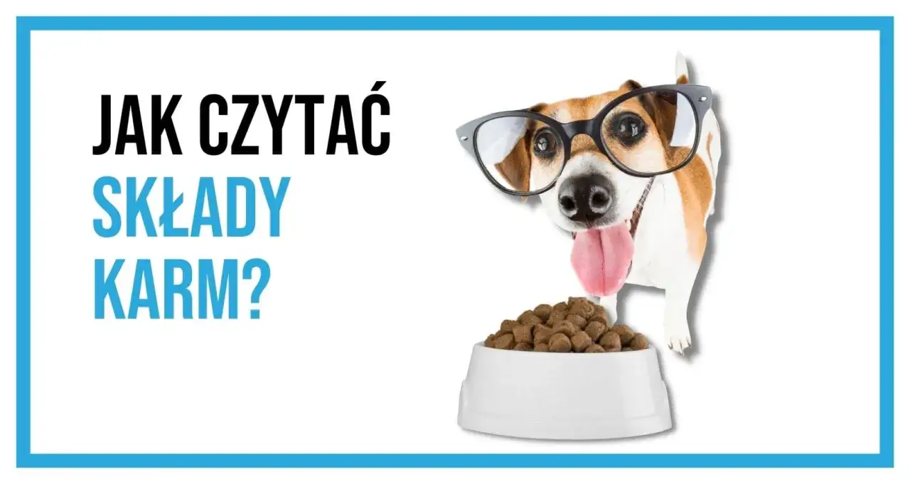 Etykiety karm dla psów: Demaskujemy sekrety składu!