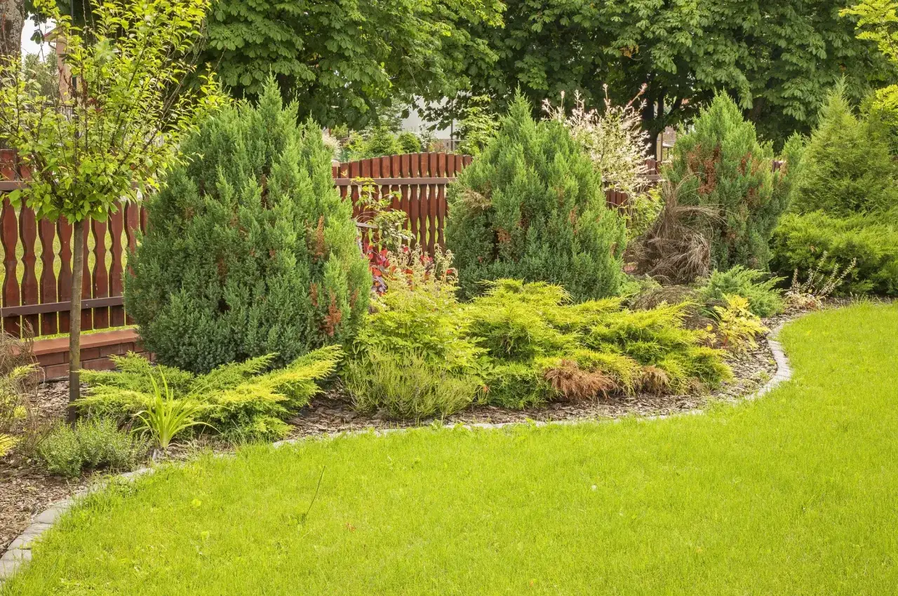 Co posadzić przy płocie sąsiada? Prawo, prywatność i styl.