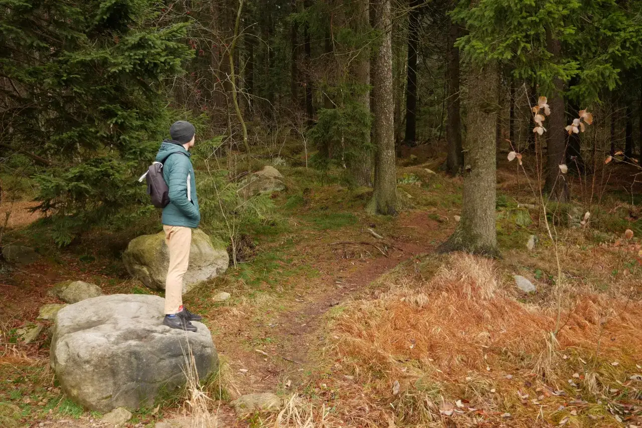 Mężczyzna w zielonej kurtce stoi na skale, podziwiając leśne **szlaki Gór Stołowych**.