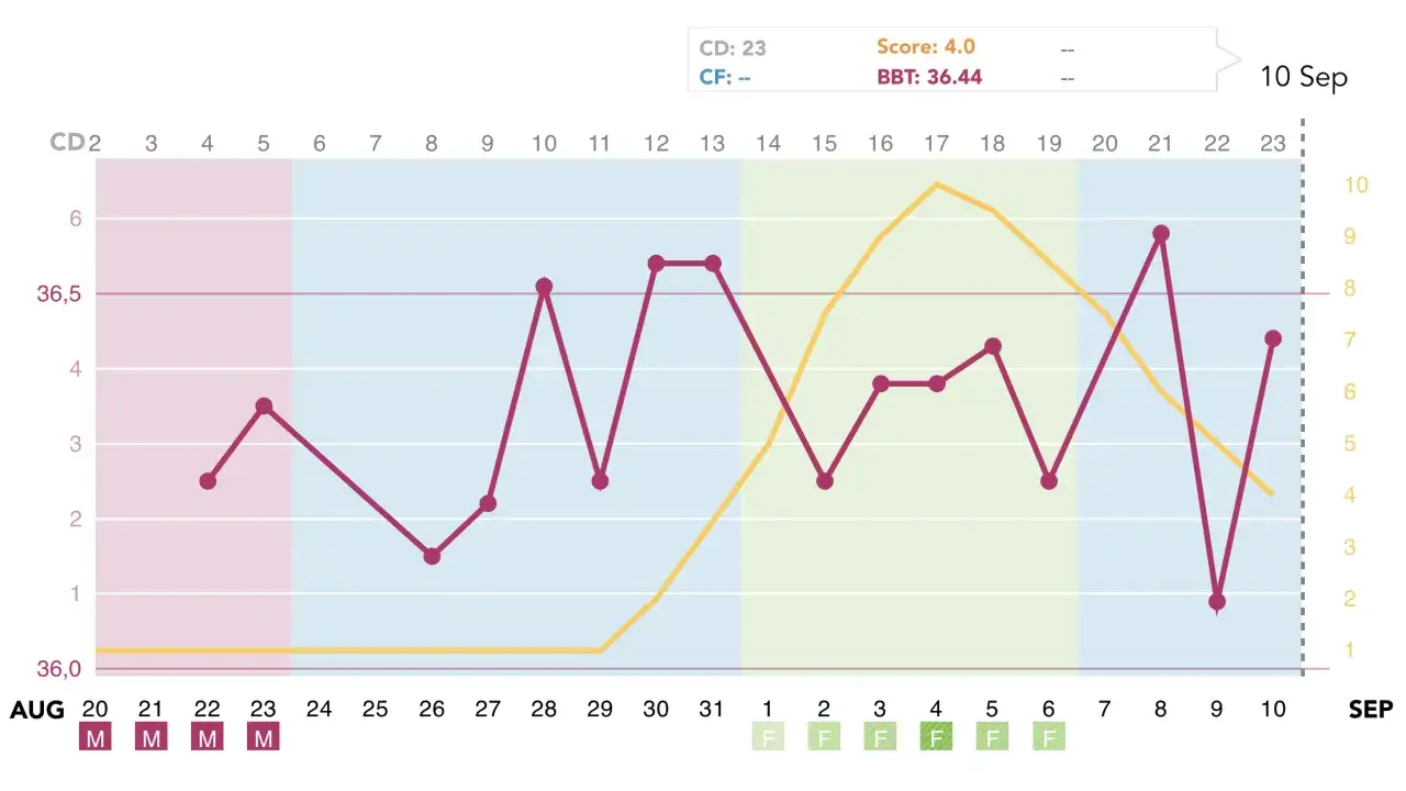 Wykres cyklu: linia fioletowa pokazuje wahania temperatury, a żółta linia wskazuje, kiedy wzrasta temperatura w cyklu, sugerując owulację.