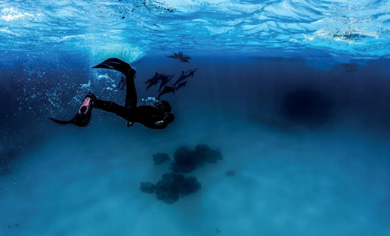 Pływanie z delfinami w Europie: Jak spełnić marzenie etycznie?