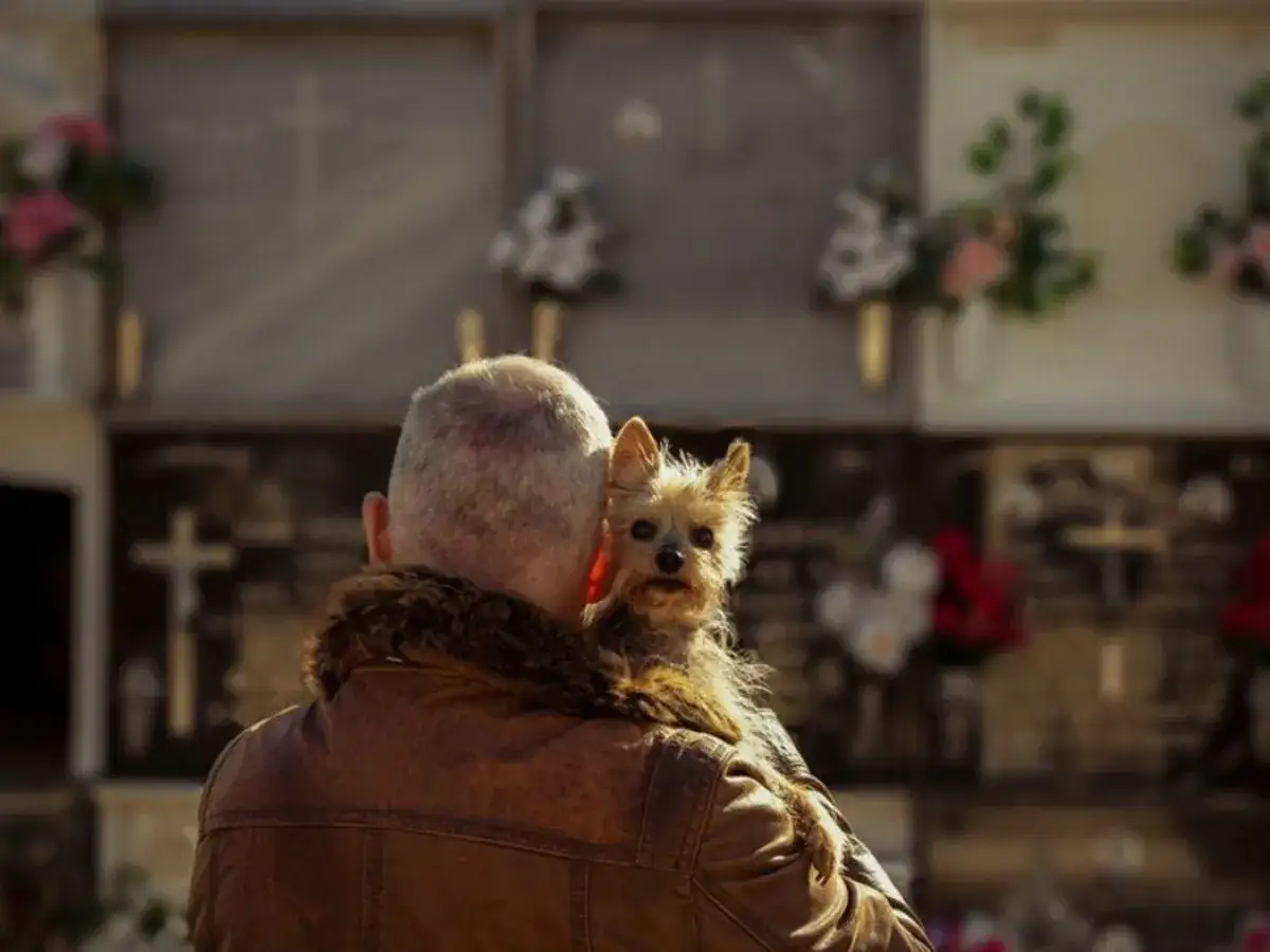 Pies na cmentarzu: Co mówią przepisy? Uniknij mandatu!