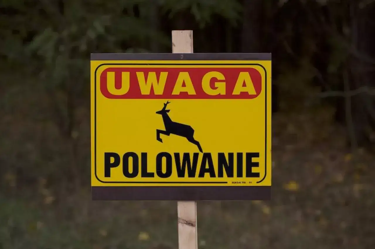 Żółty znak ostrzegawczy z napisem "UWAGA POLOWANIE" i sylwetką biegnącego jelenia.