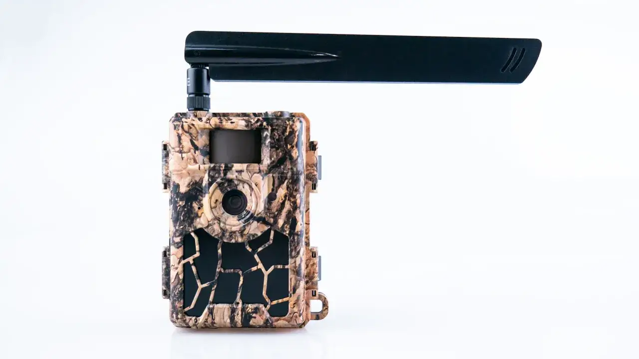 Najlepsze fotopułapki na działkę – co wybrać według forum?