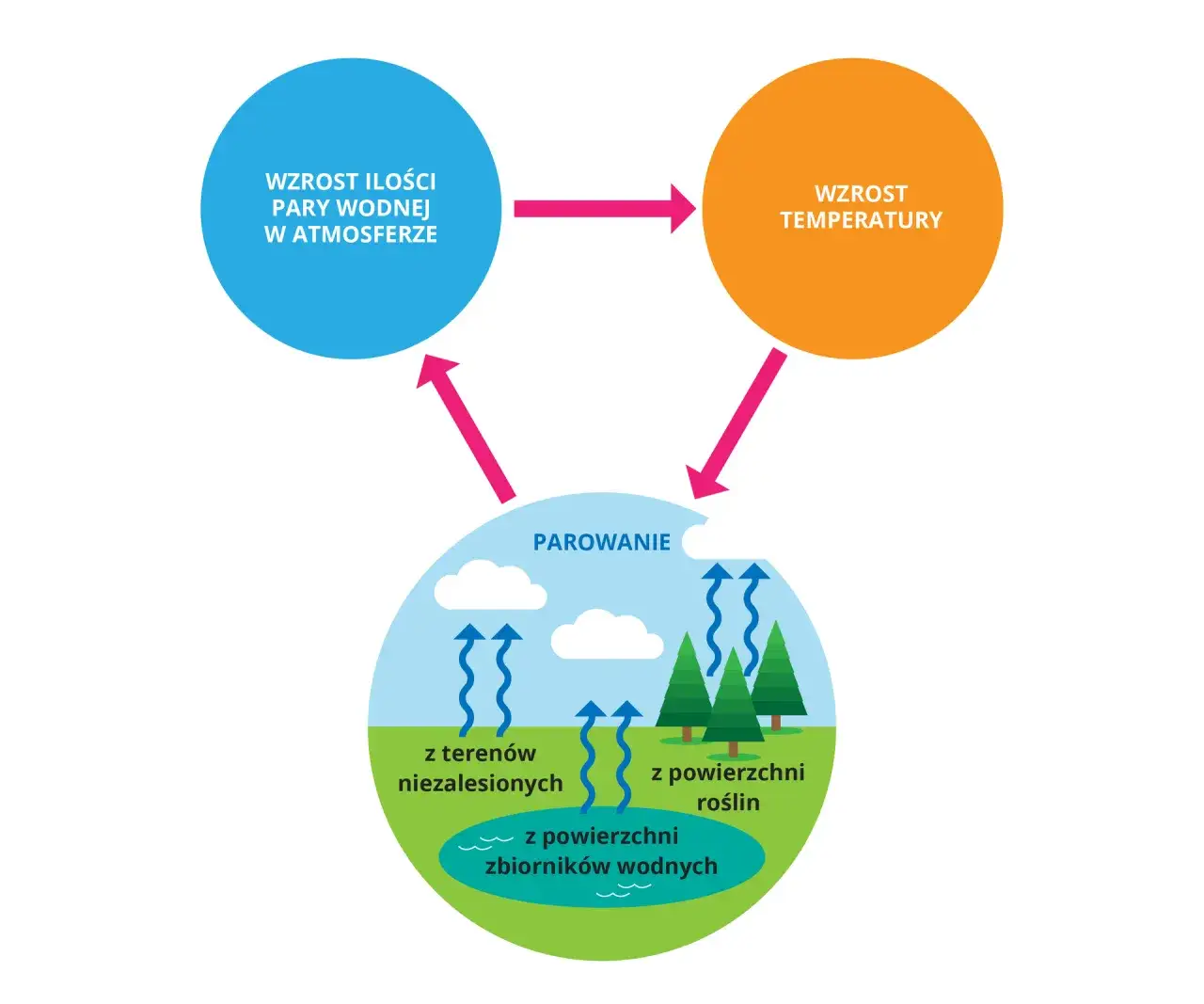 Na czym polega zjawisko efektu cieplarnianego i jakie ma konsekwencje