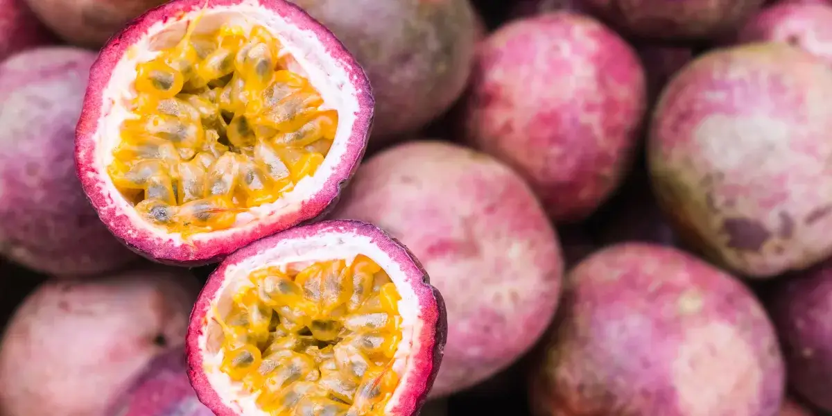 Kiedy jest sezon na marakuję? Odkryj, kiedy najlepiej ją zbierać