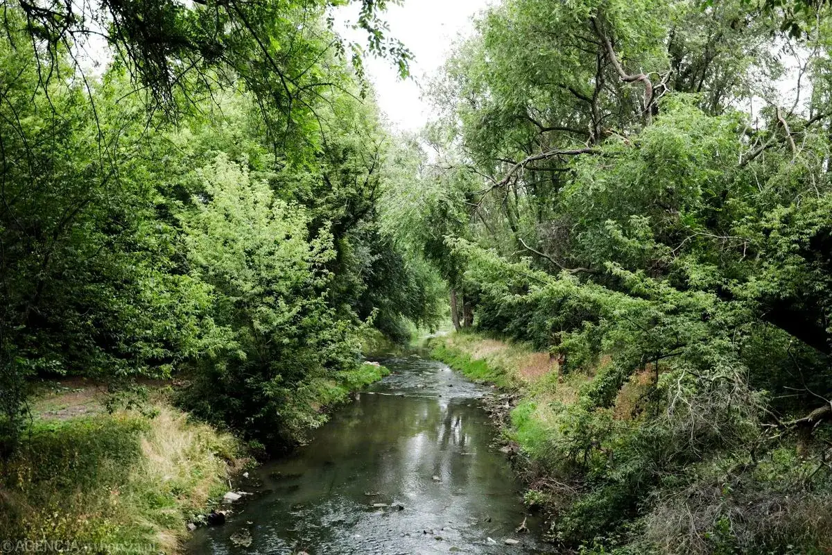 Gdzie zjeść w Radomiu? Odkryj TOP miejsca na każdą okazję!