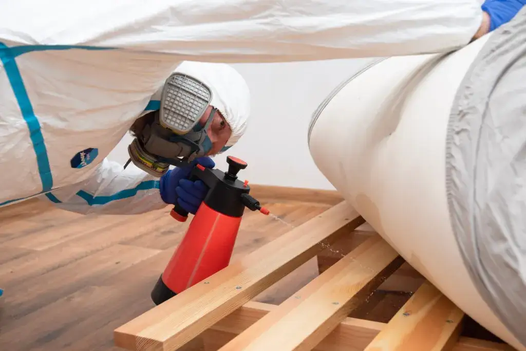 Jak przygotować mieszkanie do odpluskwiania, aby uniknąć problemów?