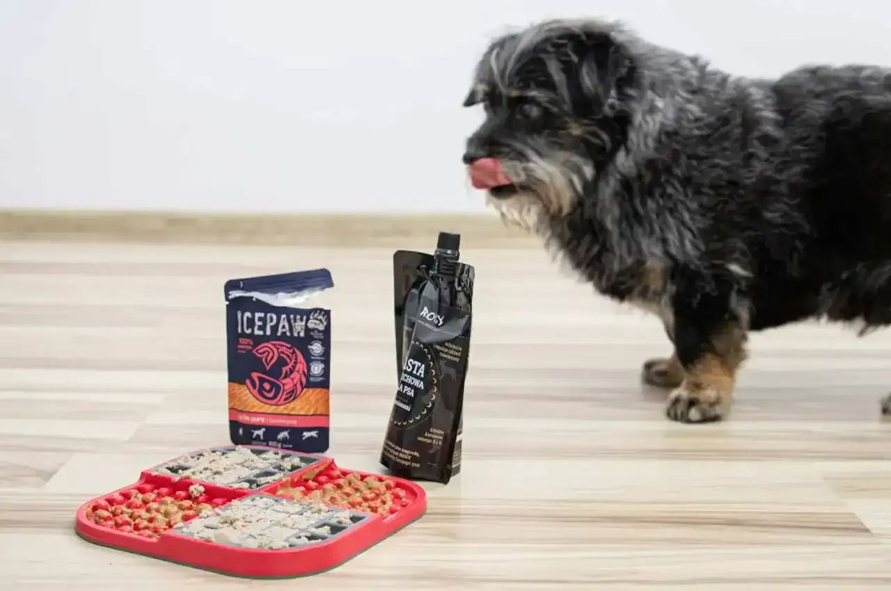 Pies z językiem na wierzchu patrzy na matę do wylizywania dla psa wypełnioną smakołykami.