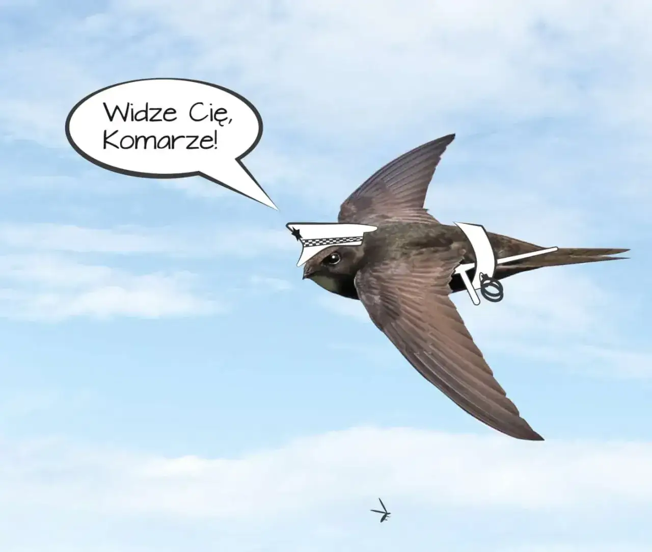 Jaki ptak zjada komary? Odkryj naturalnych sprzymierzeńców w walce z nimi