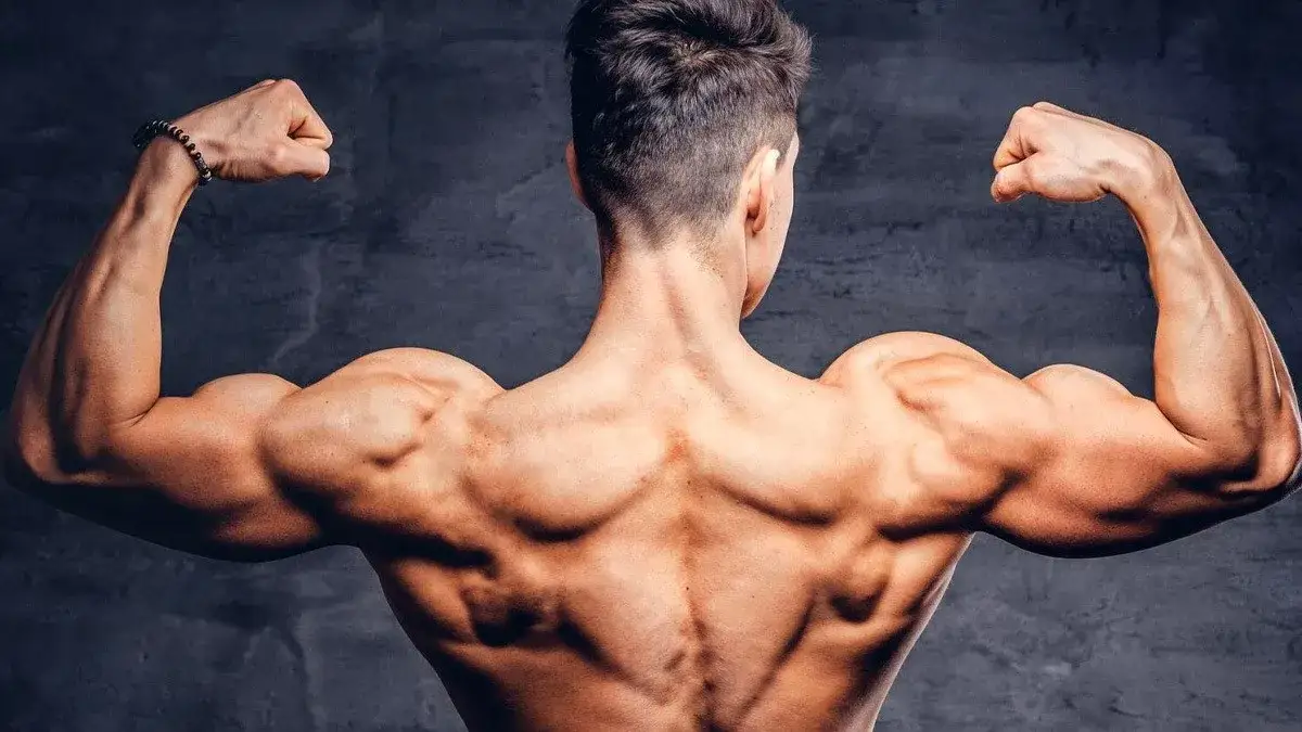 Najskuteczniejsze ćwiczenia na plecy, które zbudują Twoją siłę i sylwetkę