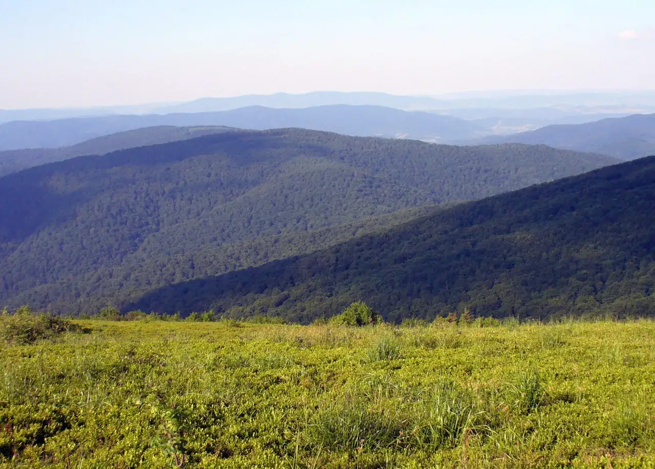Jak obliczyć odległość w terenie i uniknąć pomyłek w nawigacji