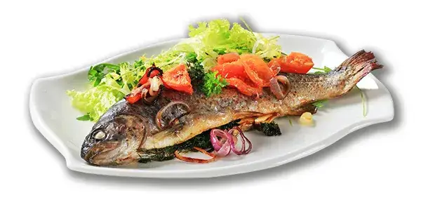 Gdzie zjeść w Ojcowie? Najlepsze miejsca na smaczny posiłek