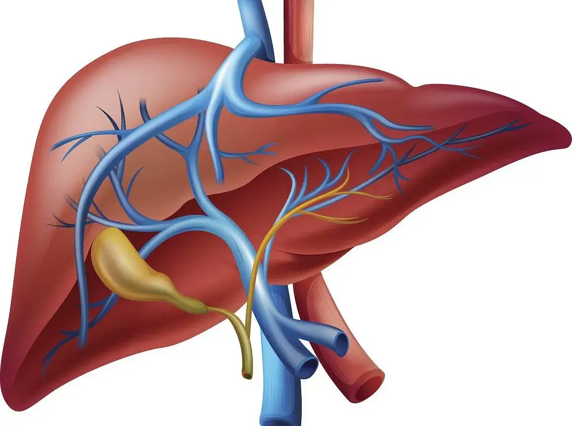 Jaki lekarz leczy naczyniaki wątroby? Kluczowe informacje o specjalistach