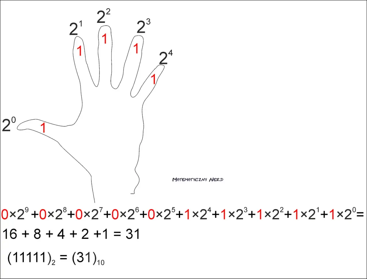 System binarny: Naucz się liczyć jak komputer! Poradnik
