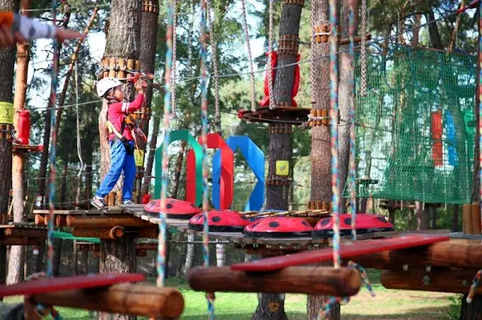 Czy Julinek park linowy to raj dla małych i dużych śmiałków?