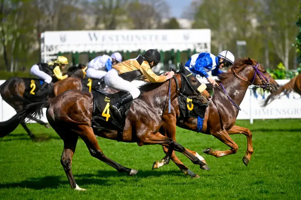 Jacek Jelonek jeździectwo: Jak pasja do koni zmieniła jego życie