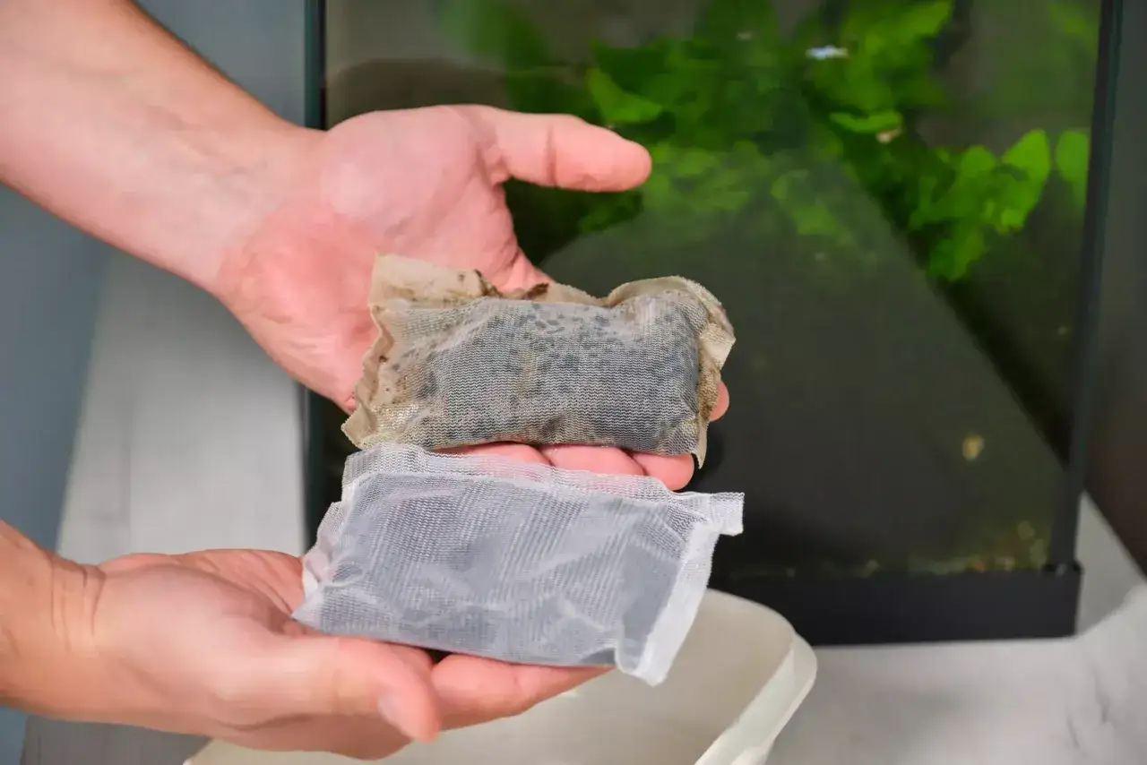 Węgiel aktywny w akwarium: Moc, sekrety i pułapki użycia